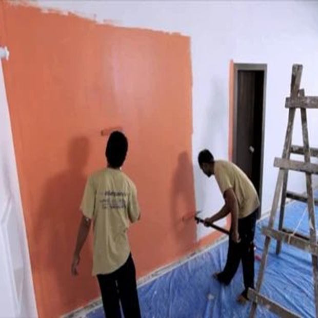 Plastic Emulsion/Paint